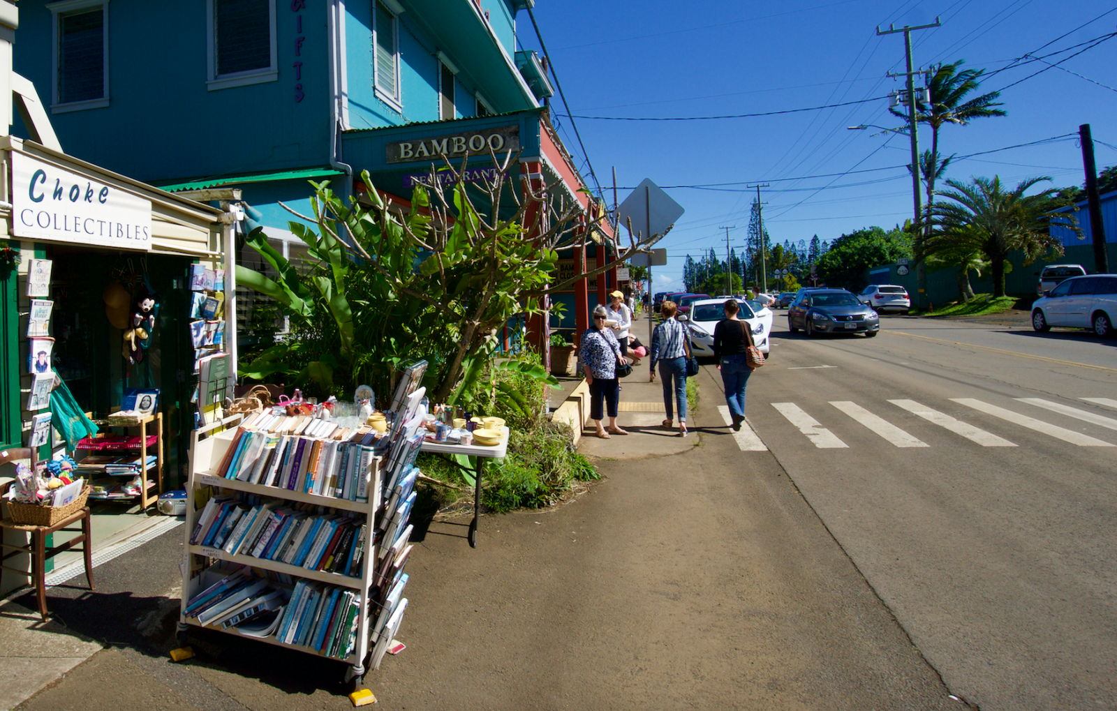Shopping in Hawi, Big Island