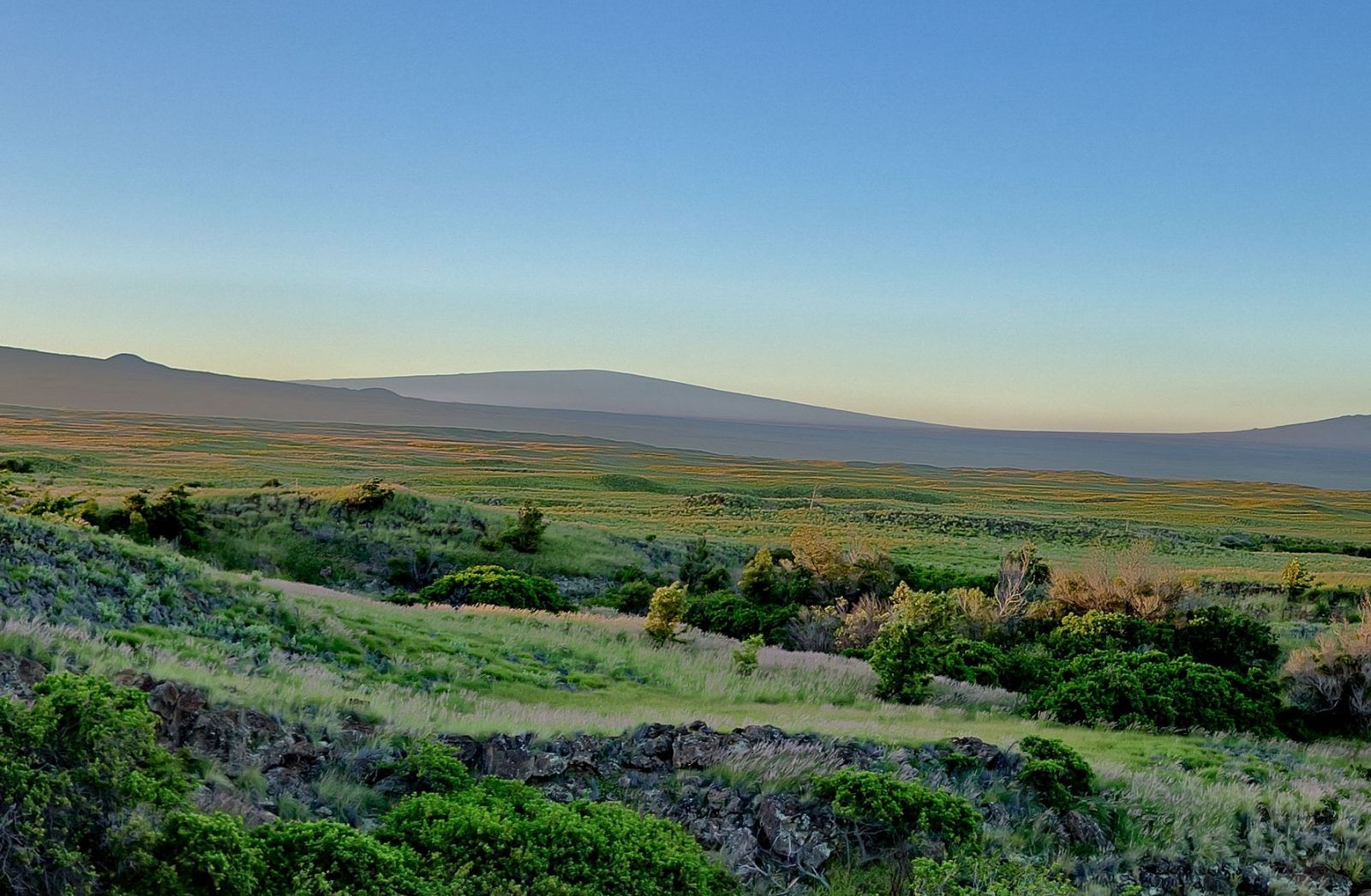 Mauna Loa Volcano