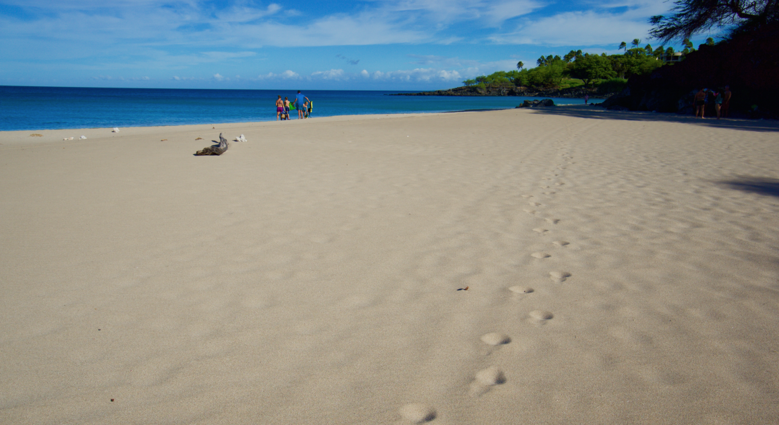 Hapuna Beach Big Island Hawaii