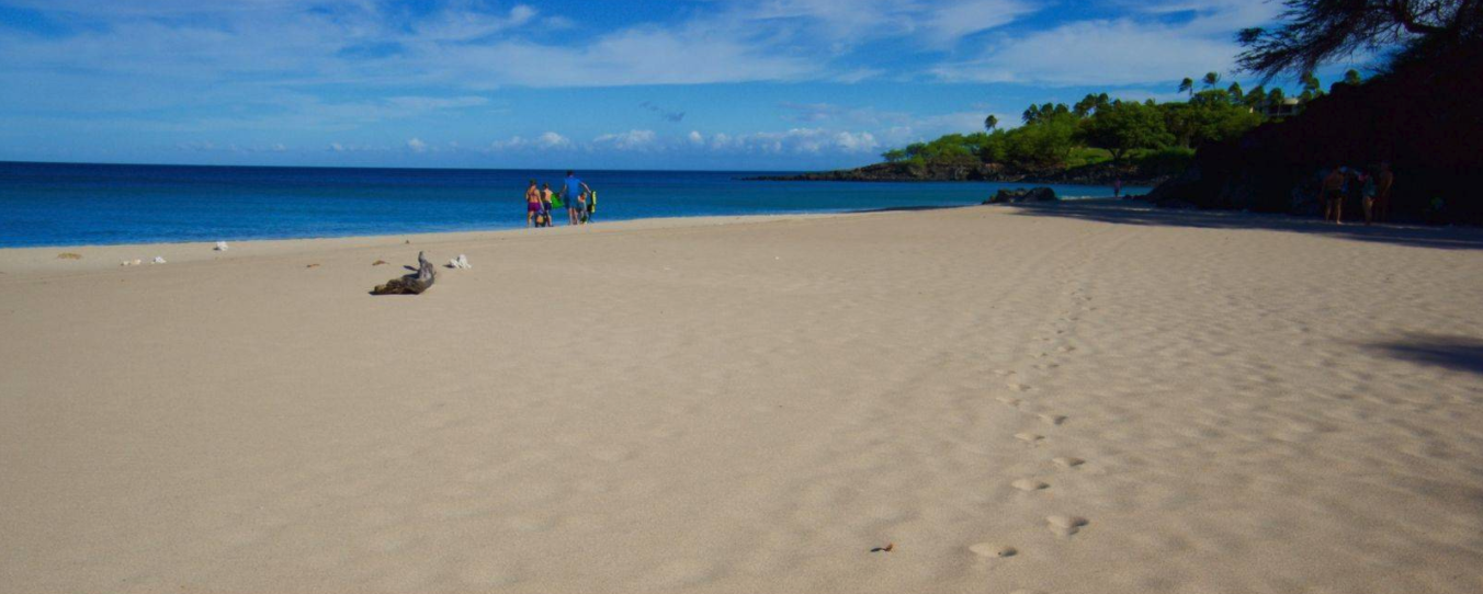 hapuna beach hawaii