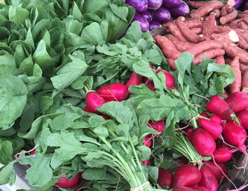Waimea Homestead Farmers Market