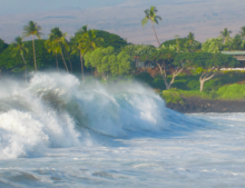 Hawaii Surf 