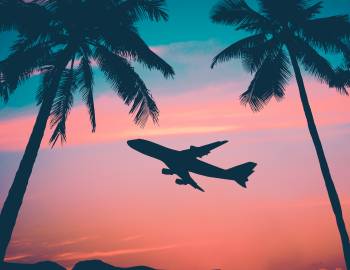 full graphic of airplane sunset palm trees hawaii